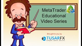 MetaTrader 4 working with time frames and chart views