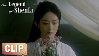 EP28 Clip Xing Zhi's secret healing was discovered by Shen Li | The Legend of ShenLi