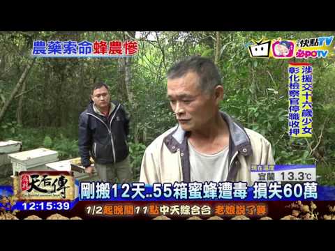 20170114中天新聞　採收季遭毒害！　2百萬蜂近全亡　蜂農泣