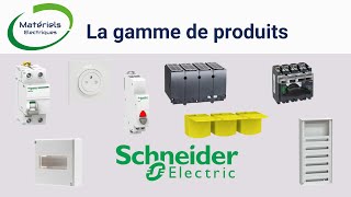 Schneider Electric Acti9 IID Interrupteur Différentiel 2P 25A 30mA Type AC - A9R11225