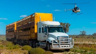 Desert Trucking