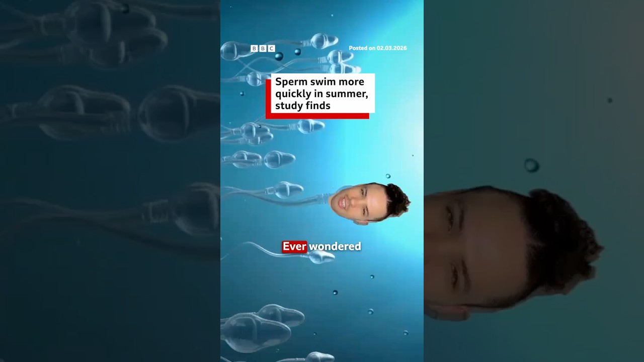 Sperm swim more quickly in summer, study finds. #Fertility #BBCNews