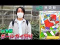 【登録者36万人記念】池袋のカードショップでボールガイを見つけたら全購入縛り！【ポケモンカード】