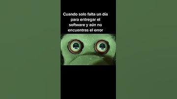 #memesprogramacion #programacion #desarrollodesoftware