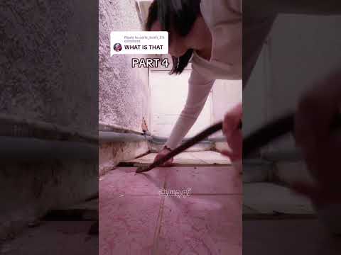 شي مرعب ساكن تحت بيتها  شي مرعب ساكن تحت بيتها