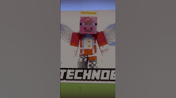 So LONG nerds 🥀#technoblade #effectking