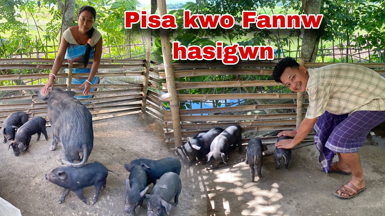 Oma pisa kwo bema kalamnwbla bese gwbao pisinangwo