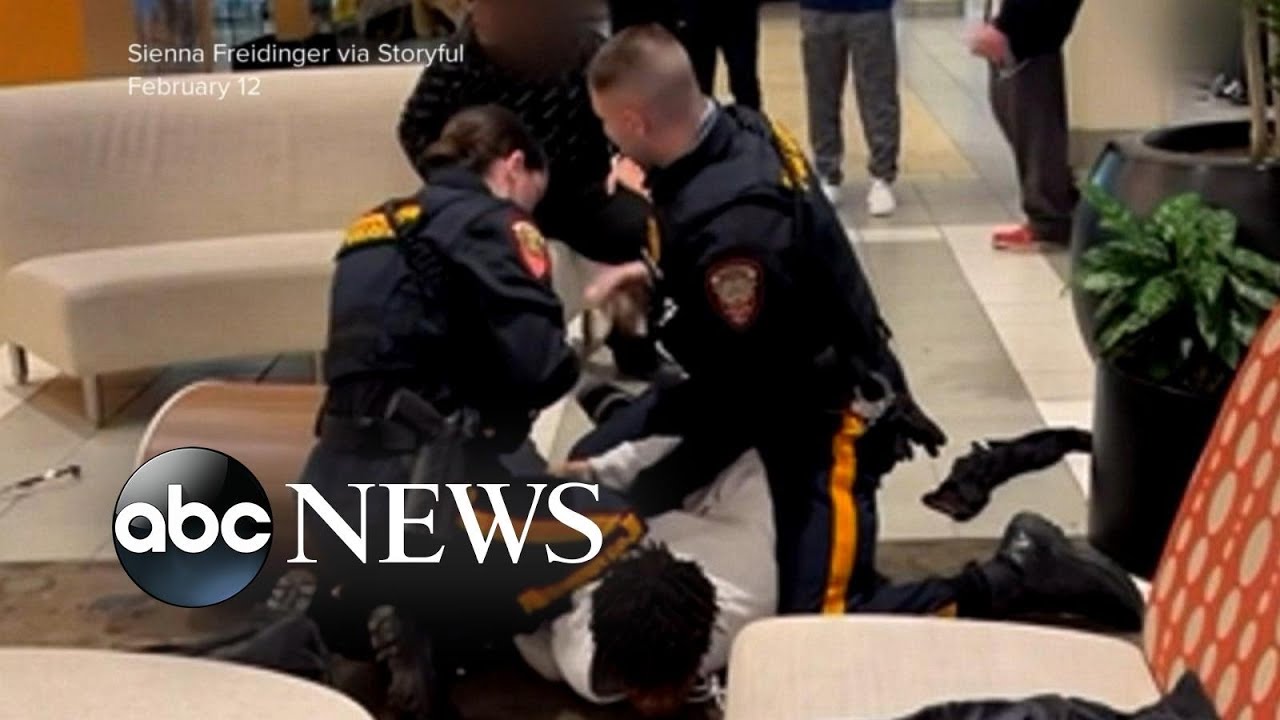 Cops under fire over video of mall arrest l WNT
