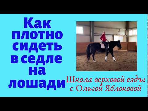 КАК ПЛОТНО СИДЕТЬ В СЕДЛЕ НА ЛОШАДИ