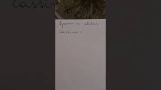 separação silábica 2 ano