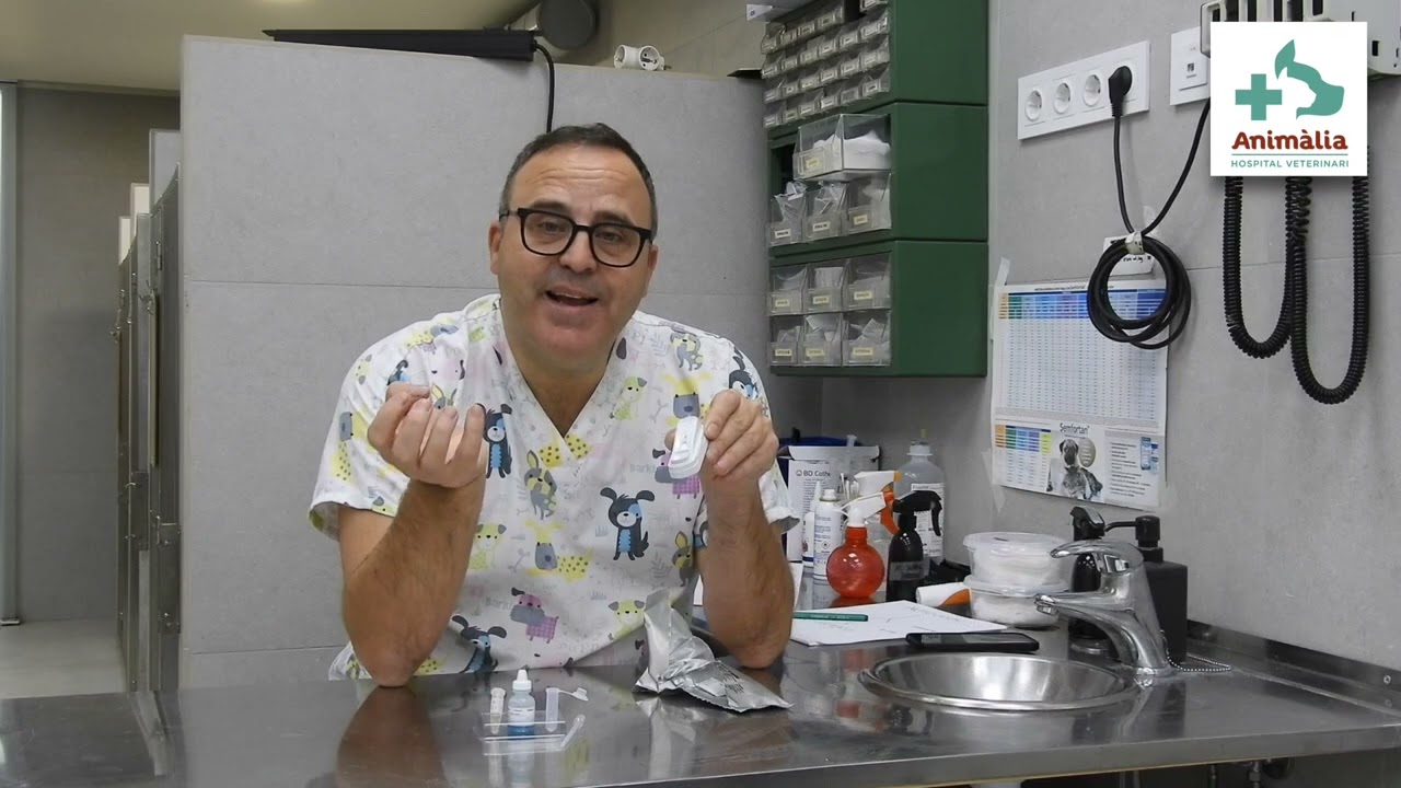 Cómo funciona un test de antígenos o anticuerpos