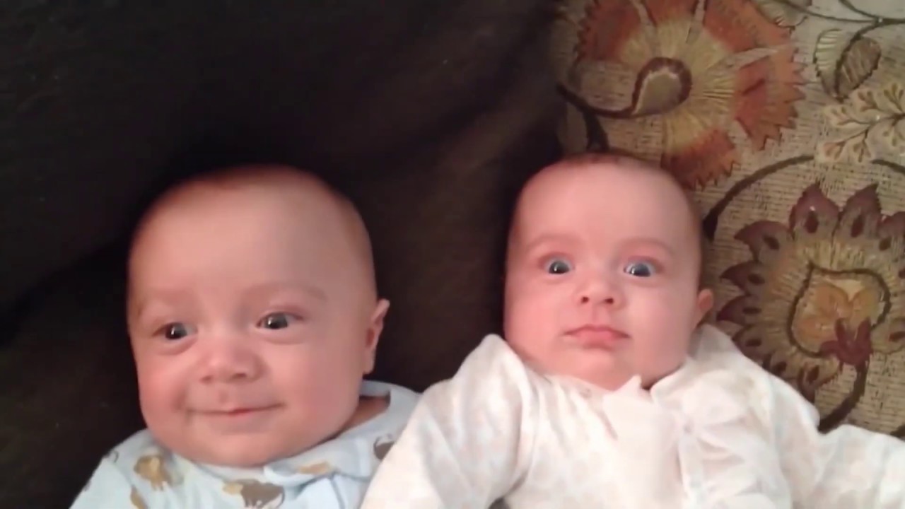 Funny baby twins play and fight together funny children's videos YouTube