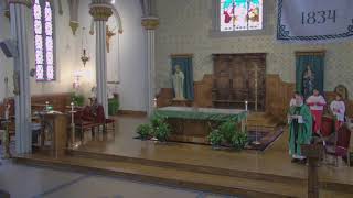 15th Sunday in Ordinary Time
