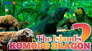 Komodo Dragon | biggest monitor lizard | #part_2