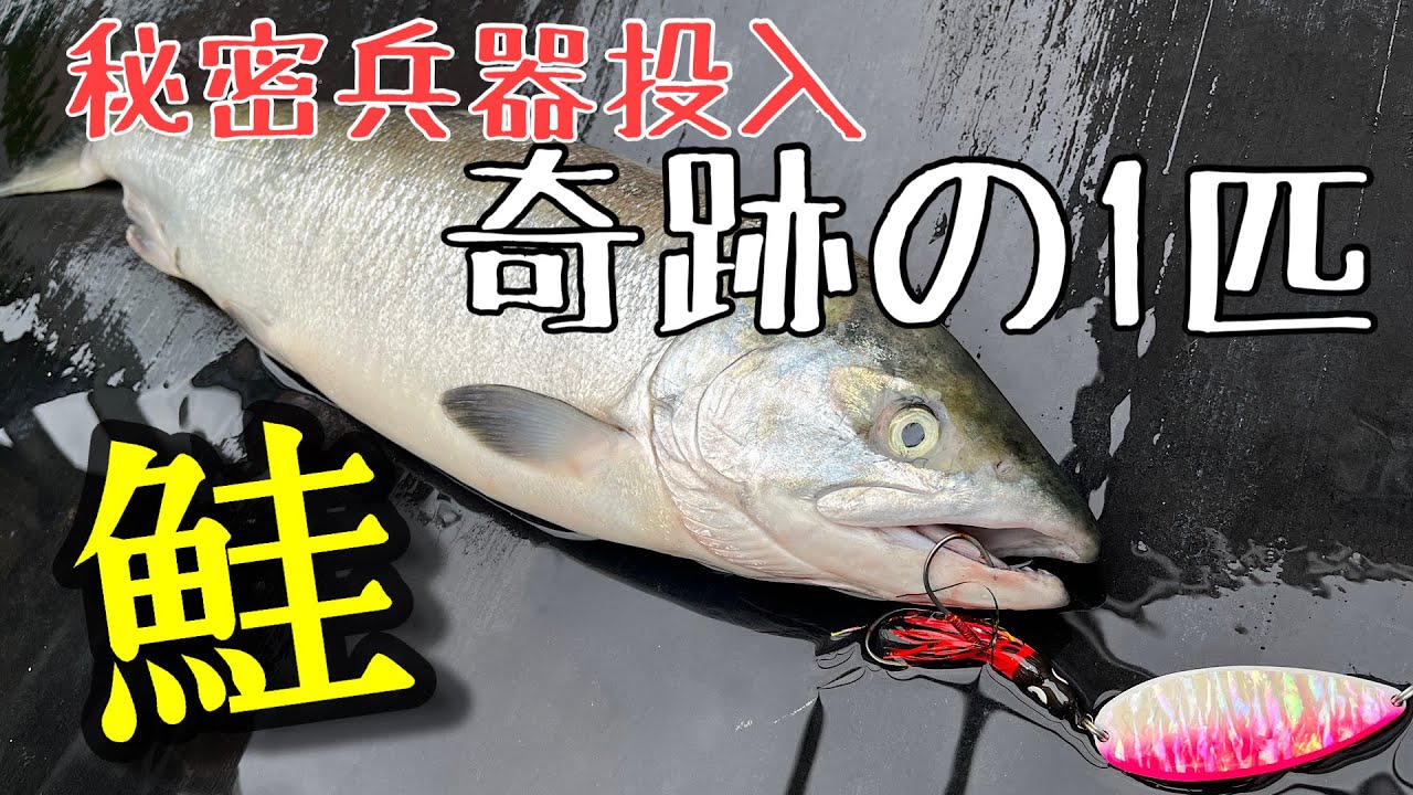 その他 鮭 釣り 一式 すぐに出かけられます