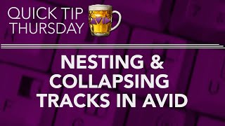 Nesting & Collapsing Tracks in AVID