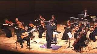 Ricardo Cobo Plays Brouwer Elegiaco. Movt. 1