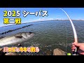 川エビで シーバス ウキ釣り 2025 第二戦