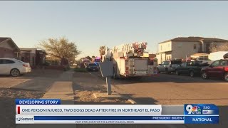 One person injured and two dogs are dead after a house fire