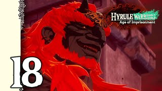 Hyrule Warriors: Age of Imprisonment - The Battle of Hyrule Castle - Chapter 5