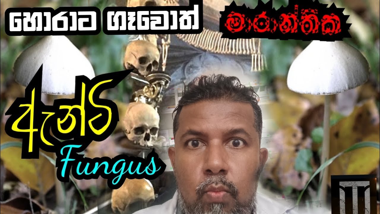 Antifungal YouTube antifungal-youtube