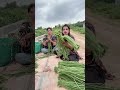 #eid #farming #aakhirkyutootichhorebarghatiteam #anirudh #ekmotahathighumechala #love