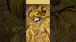 # Jay Shyam Baba👏🔔🌿🌿🌿# barrel# Shyam Baba# short# videos#🎋🎋🎋🎋🎋🎋