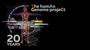 20 Years of the Human Genome