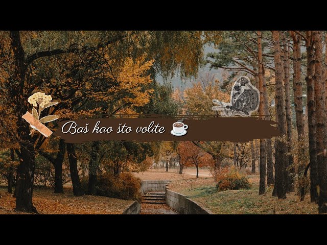 Vlogčina / ☕✨ haul + čišćenje + itd