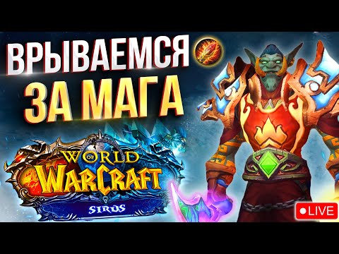 Видео: World of Warcraft: Погнали крутить ЦИФРЫ !? 💥 Вертикальный стрим #shorts