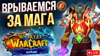 World of Warcraft: Погнали крутить ЦИФРЫ !? 💥 Вертикальный стрим #shorts