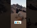 كمدية أزواد في ظل نقصان حاد في زيت
