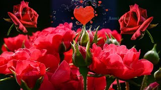 Good Evening whatsapp status 2021/Romantic WhatsApp Status /couple status/4k status/trending status screenshot 3