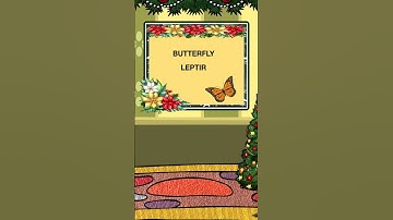 Advent Calendar Day 21 - Learn today