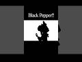 【作ってみた】Black Pepper!! PV【影絵】