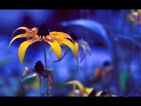 Watch The Sura Quintet - Olas del Mar Theme on YouTube