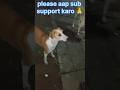 Dogs protect homeless man #dogsrescue #doglover #rescuedogs #dogsprotection # positiveimpac