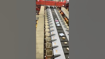 Wow amazing sorting machine #shortsfeed #shorts #ai #postal #allibaba #ecommerce
