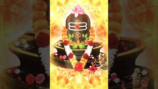 Lingashtakam tamil song | Lord Shiva whatsapp status | SPB#omnamahshivaya#spbsongs#lingashtakam#Appa