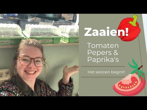 GROENTEN ZAAIEN | TOMATEN, PEPERS & PAPRIKA&rsquo;S | binnen zaaien | Moestuin