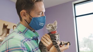 Countdown 2 Zero Virtual Adoption Event 2020