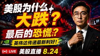 美股直播8.24：美股为什么大跌？最后的恐慌？英伟达传递最新利好！CRDO交易细节！MU暴跌！AAOI、LITE光通信赛道触底反弹！MSTR/HOOD/SMFTMU/SNDK/WDS/SKHY