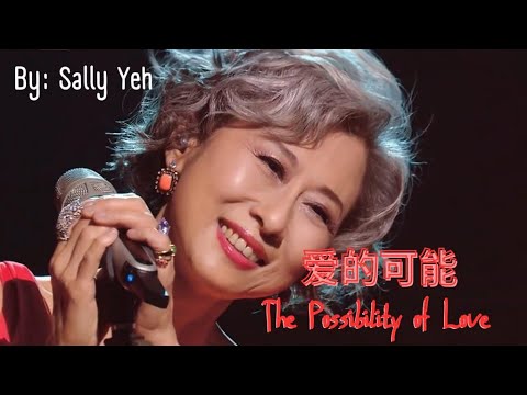 【爱的可能 - 叶倩文】THE POSSIBILITY OF LOVE - SALLY YEH / امكانية الحب / Pinyin, English, Arabic Lyrics