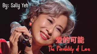 【爱的可能 - 叶倩文】THE POSSIBILITY OF LOVE - SALLY YEH / امكانية الحب / Pinyin, English, Arabic Lyrics