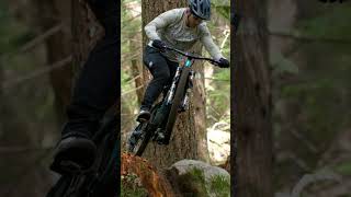 XC or Trail Bike? Allied Fitz Review