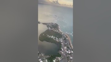 DC The Don - ZOMBIELAND (NEW SNIPPET)