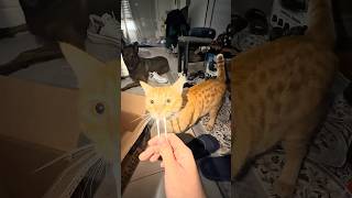 инструкция от Миши