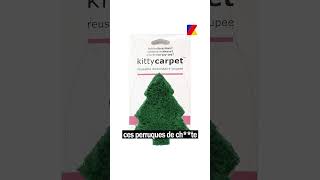 Les Poils De Chtte Sont Bien De Retour Avec La Reine Des Trends Kim Kardashian.