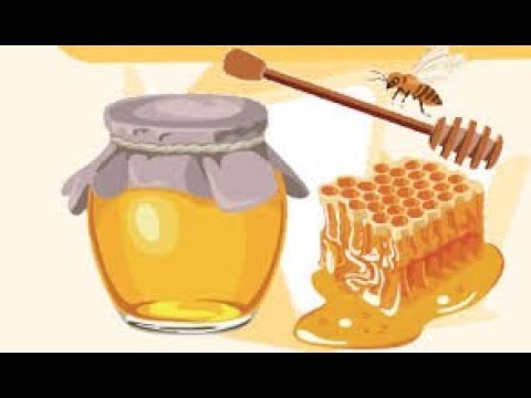 عسل الملوك فوائد عسل البردقوش للرجال عسل النحل