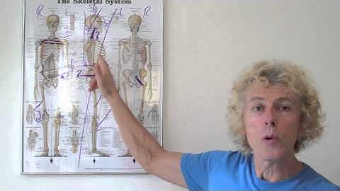 Motion Dynamics Postural Assessment